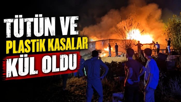T&Uuml;T&Uuml;N VE PLASTİK KASALAR K&Uuml;L OLDU