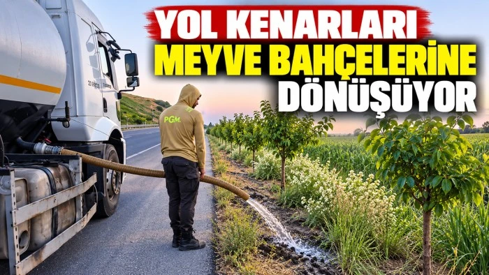 Yol kenarları meyve bah&ccedil;elerine d&ouml;n&uuml;ş&uuml;yor