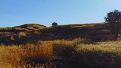 100 DÖNÜM ARAZİ KÜLE DÖNDÜ