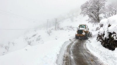 115 K&Ouml;Y VE MEZRADA KARLA M&Uuml;CADELE