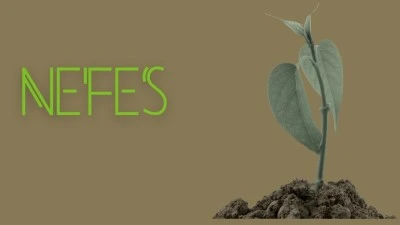 152 BİN FİDAN SAHİPLENMEYİ BEKLİYOR