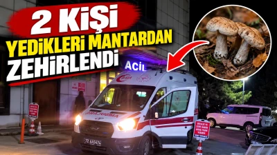 2 Kişi yedikleri mantardan zehirlendi
