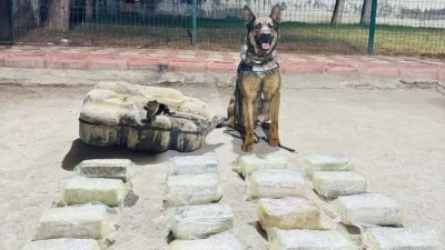 20 KİLO TOZ ESRAR ELE GEÇİRİLDİ