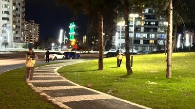 224 ALANDA ORGANİK G&Uuml;BRELEME