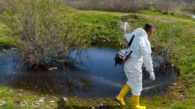 292 K&Ouml;YDE LARVA MESAİSİ