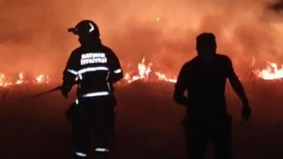 30 DÖNÜMLÜK ALAN KÜL OLDU