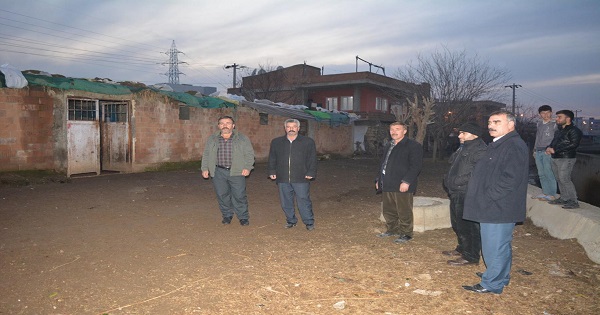 Tek seferde 37 koyun çalındı