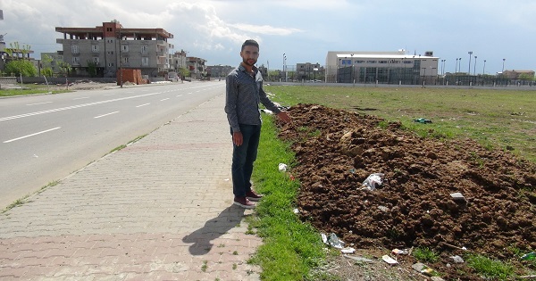 Tezek kirliliği
