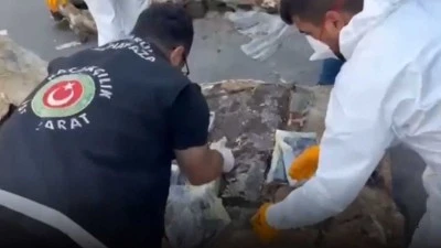601 KİLO UYUŞTURUCU ELE GEÇİRİLDİ