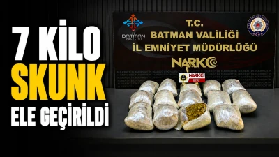 7 KİLO SKUNK ELE GE&Ccedil;İRİLDİ