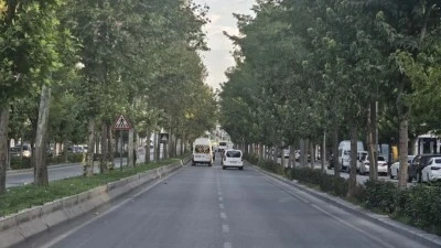 AĞAÇ TÜNELİ!