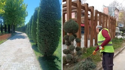 AĞA&Ccedil;LARA ESTETİK DOKUNUŞ