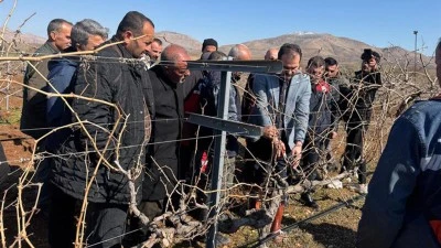 BAĞLARDA VERİM D&Uuml;Ş&Uuml;YOR