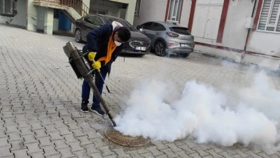 BAHAR GELMEDEN HAREKETE GE&Ccedil;İLDİ