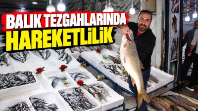 Balık tezgahlarında hareketlilik