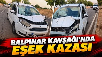 Balpınar Kavşağı&rsquo;nda eşek kazası