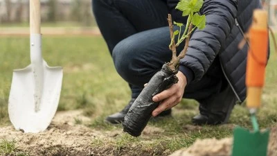 BATMAN&rsquo;DA YEŞİL SEFERBERLİK