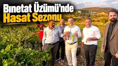 Bınetat &Uuml;z&uuml;m&uuml;&rsquo;nde hasat sezonu