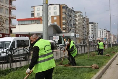 BİR HAFTADA 900 AĞA&Ccedil; TOPRAKLA BULUŞTU