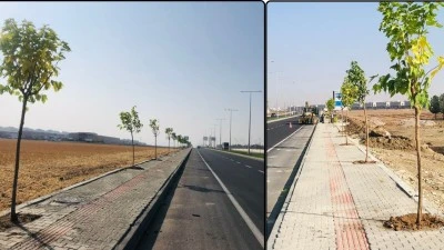 BULVARA 550 YENİ AĞAÇ DİKİLİYOR