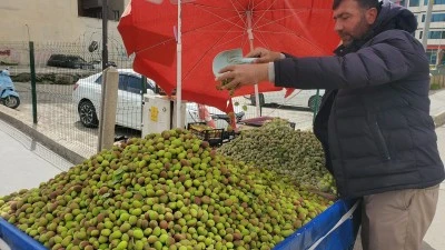 &Ccedil;AĞLA VE ERİK TEZGAHTA DURMUYOR