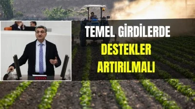 &Ccedil;İFT&Ccedil;İ AYAKTA KALMA M&Uuml;CADELESİ VERİYOR