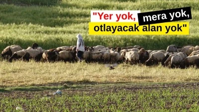 DOĞAL PEYNİR &Uuml;RETİCİLERİ ZOR G&Uuml;NLER GE&Ccedil;İRİYOR