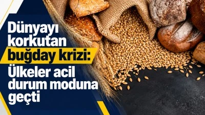 D&uuml;nyayı korkutan buğday krizi: &Uuml;lkeler acil durum moduna ge&ccedil;ti
