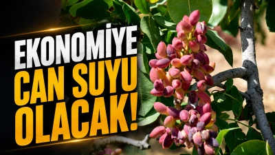 EKONOMİYE CAN SUYU OLACAK!