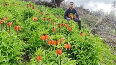 ENDEMİK G&Uuml;ZELLİĞE YOĞUN İLGİ