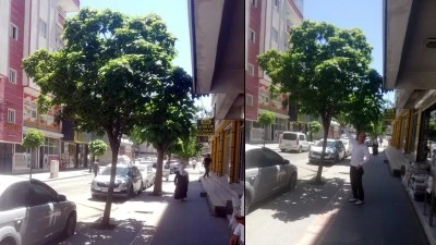 ESNAF KURUYAN AĞA&Ccedil;LARDAN ŞİKAYET&Ccedil;İ