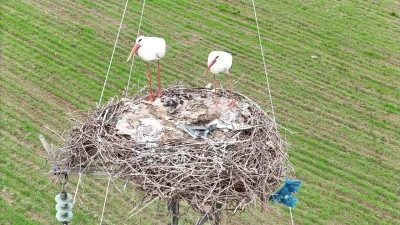ETİYOPYA, SOMALİ VE AFRİKA&rsquo;DAN DİCLE&rsquo;YE GELİYORLAR!