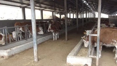 GÜÇLÜ BESİ GÜÇLÜ ÜRETİM
