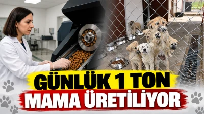 G&Uuml;NL&Uuml;K 1 TON MAMA &Uuml;RETİLİYOR
