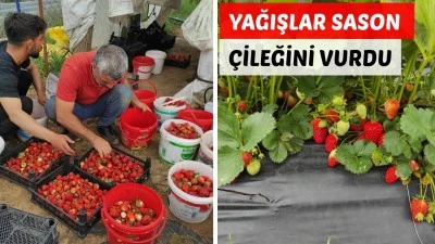 &Ccedil;İLEK DALINDA KALDI, &Uuml;RETİCİ &Ccedil;ARESİZ