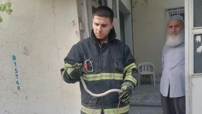 İTFAİYE EKİPLERİ EVE GİREN YILANI YAKALADI