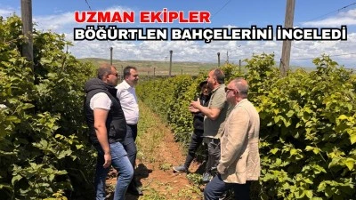 B&Ouml;Ğ&Uuml;RTLEN &Uuml;RETİMİ MERCEK ALTINDA
