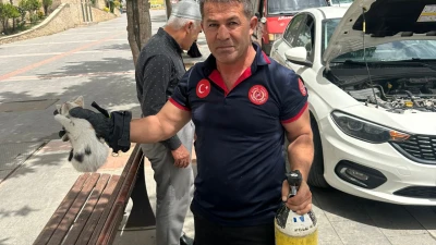 ARAÇTA SIKIŞAN KEDİYİ İTFAİYE EKİPLERİ KURTARDI