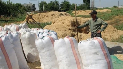 &Ccedil;İFT&Ccedil;İLER KIŞA HAZIRLANIYOR: SAMANLAR &Ccedil;UVALLARDA