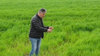 BATMAN'DA REKOLTE PATLAMASI BEKLENİYOR