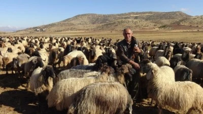 HAYVANLARIYLA 3 AY SÜREN ZORLU GÖÇ