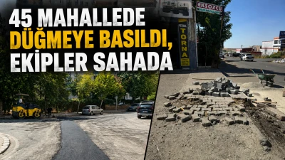 45 MAHALLEDE D&Uuml;ĞMEYE BASILDI, EKİPLER SAHADA