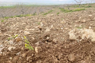 BATMANLI &Uuml;RETİCİLERE KRİTİK 5 UYARI