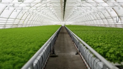 SERA YATIRIMINA %50 DESTEK