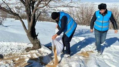 BELEDİYE, YABAN HAYATINI YALNIZ BIRAKMADI