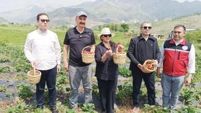 BATMAN&rsquo;IN KIRMIZI HAZİNESİ HASADA A&Ccedil;ILDI