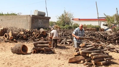 KIŞ HAZIRLIKLARI BAŞLADI: ODUN TALEBİNDE YOĞUNLUK