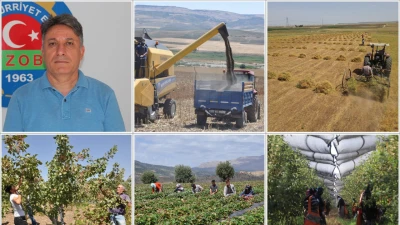 DOĞAN: TARIM POLİTİKALARI DEVLET POLİTİKASI OLMALI