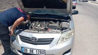 KEDİYE RASTLANMADI