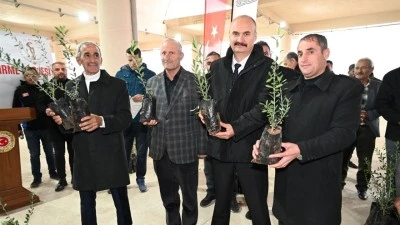HASANKEYF’TE 40 ÇİFTÇİYE 5 BİN ZEYTİN FİDANI